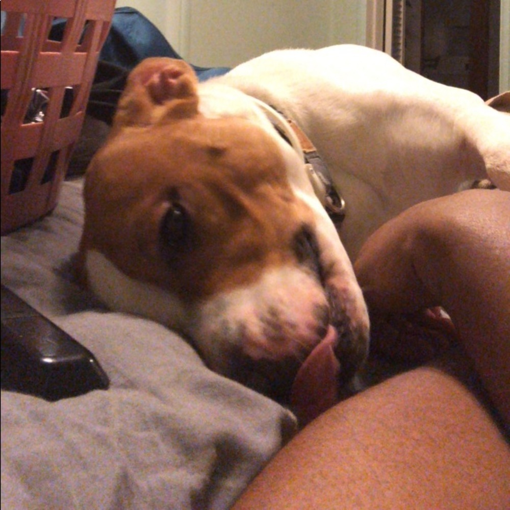 Meet your Posher, Arionna